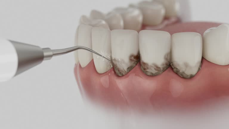 Reliable Dental contractor in Pike County County, OH by Dentist Open Now